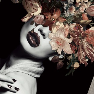Photographie Silene