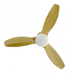 Ventilateur à LED Terre CCT (22W)