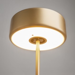 Lampe à poser rechargeable LED AI Collaboration Dim (3W)
