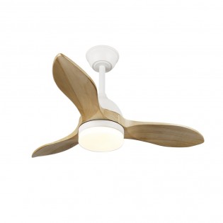 Ventilateur de plafond LED Tasme CCT Dim (20W)