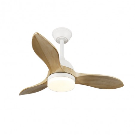 Ventilateur de plafond LED Tasme CCT Dim (20W)