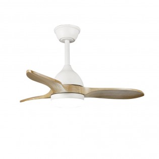 Ventilateur de plafond LED Tasme CCT Dim (20W)