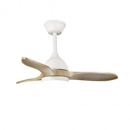 Ventilateur de plafond LED Tasme CCT Dim (20W)