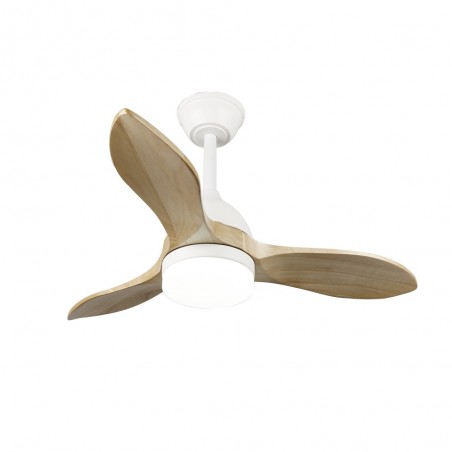 Ventilateur de plafond LED Tasme CCT Dim (20W)