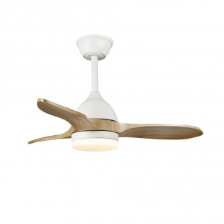 Ventilateur de plafond LED Tasme CCT Dim (20W)