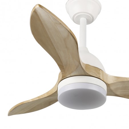 Ventilateur de plafond LED Tasme CCT Dim (20W)