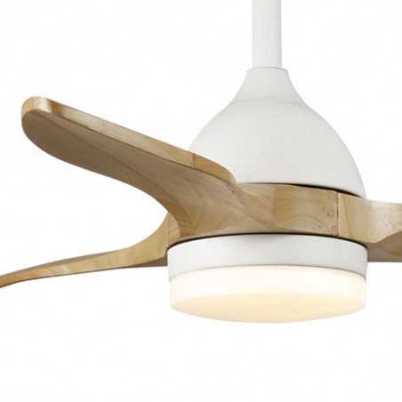 Ventilateur de plafond LED Tasme CCT Dim (20W)