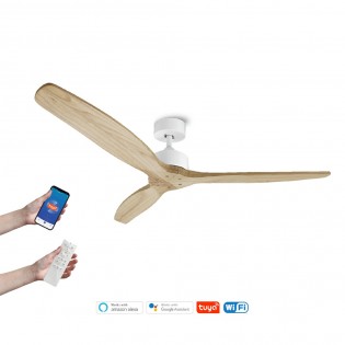 Ventilateur de plafond Nerona Smart