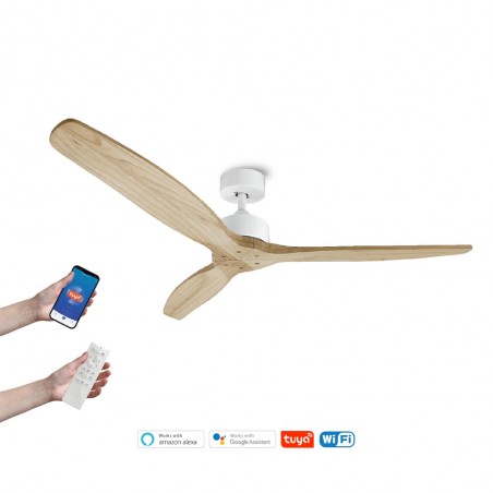 Ventilateur de plafond Nerona Smart