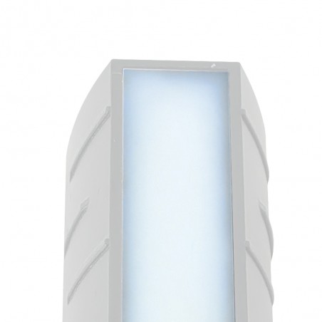 Applique murale extérieure LED Morgan (8W+2x1W)