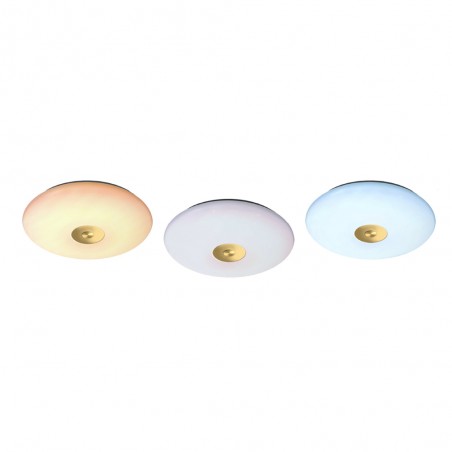 Plafonnier à LED PRO CCT Dim (50W)