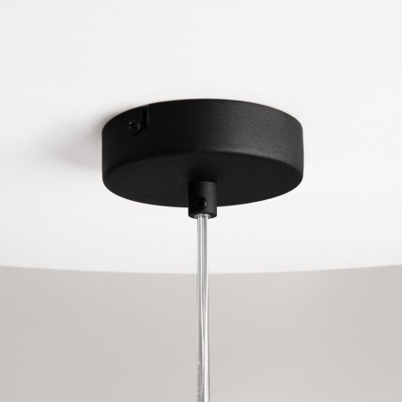Suspension Duality 20