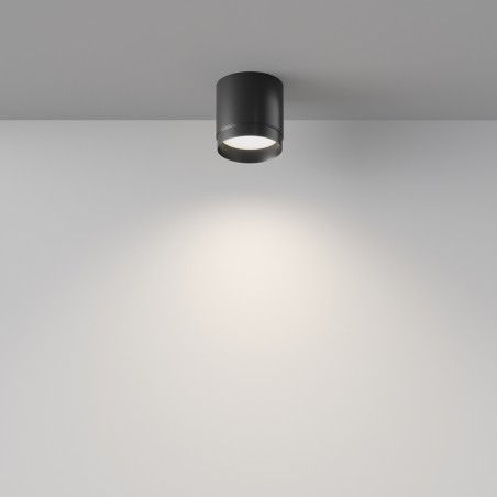 Spotlight surface Polar