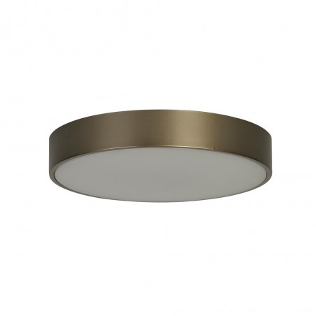 Plafonnier LED Palma (12W)