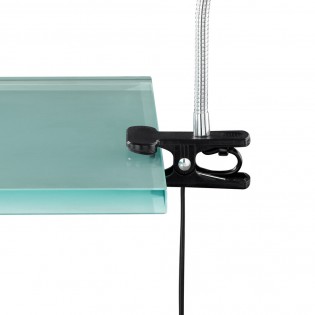 Lampe de bureau LED avec pince Arras (4W)