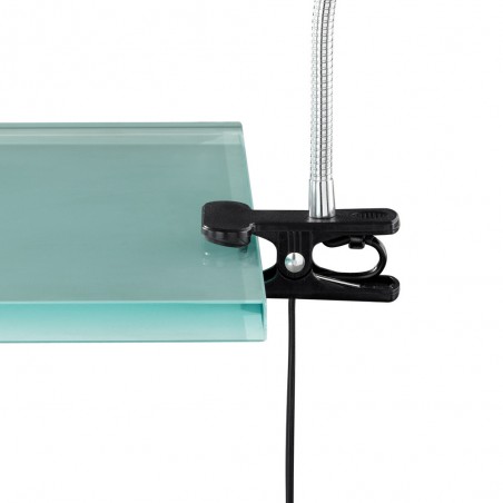 Lampe de bureau LED avec pince Arras (4W)