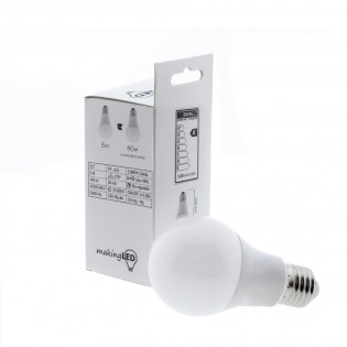 Ampoule LED E27 A60 (5W)