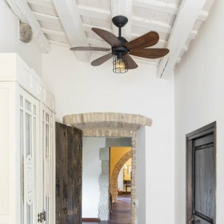 Ventilateur avec lumière Chicago