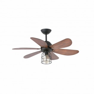 Ventilateur avec lumière...