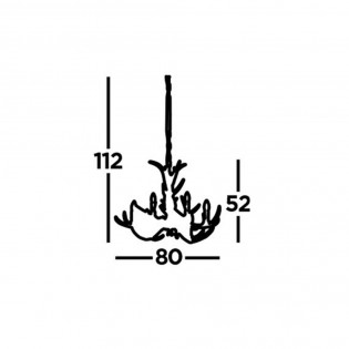 Lampe de plafond Stag (6 lumières)