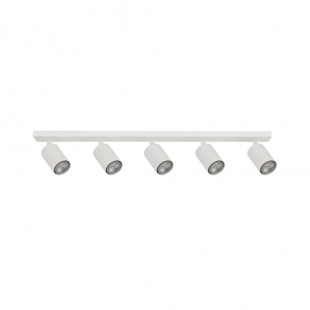 Réglette de plafond Arcadian (5 Lumieres)