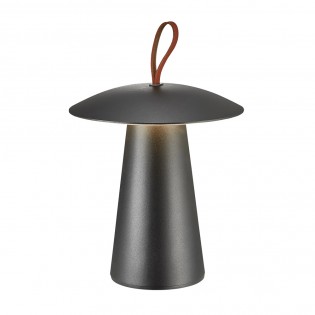 Lampe portable LED Ara To...