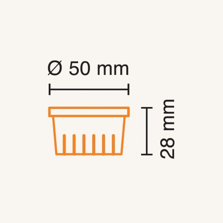 Module Ampoule LED CCT (7W)