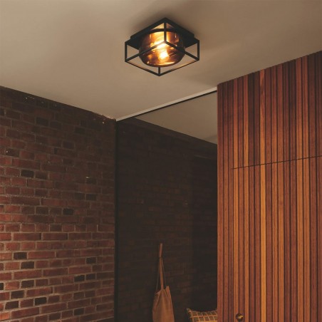 Plafonnier pour exterieurs Griffin (2 lumieres)