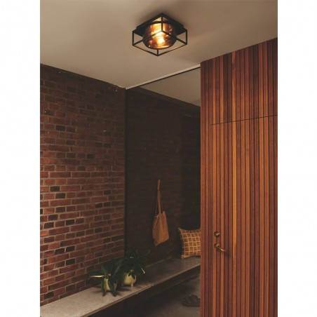 Plafonnier pour exterieurs Griffin (2 lumieres)