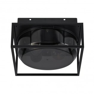 Plafonnier pour exterieurs Griffin (2 lumieres)