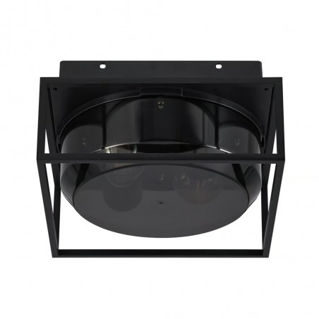 Plafonnier pour exterieurs Griffin (2 lumieres)