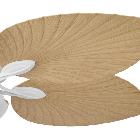 Ventilateur de plafond á LED Colla CCT (26W)