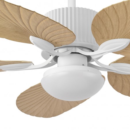 Ventilateur de plafond á LED Colla CCT (26W)
