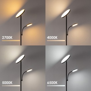 Lampadaire LED Niela CCT Dim (30+6W)