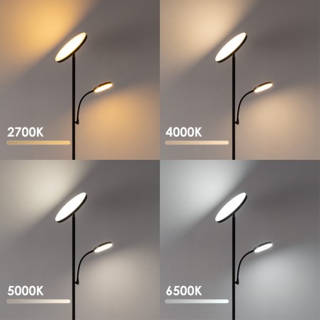 Lampadaire LED Niela CCT Dim (30+6W)