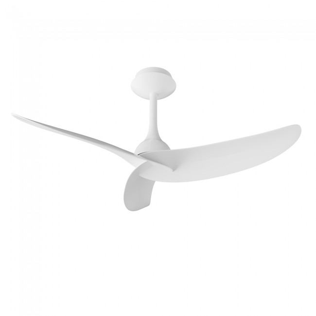 Ventilador de techo Ipanema III