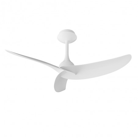 Ventilador de techo Ipanema III