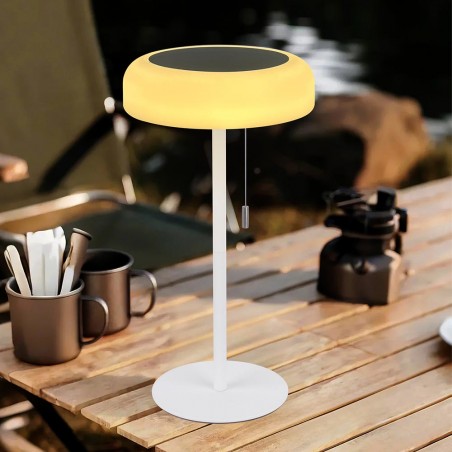 Lampe á poser solaire LED Larifa (1.2W)