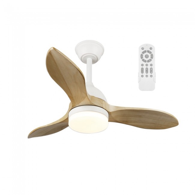 Ventilateur de plafond LED Tasme CCT Dim (20W)