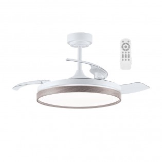 Ventilateur pales...