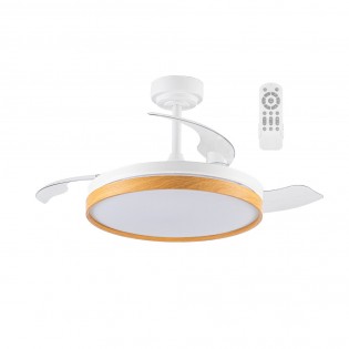 Ventilateur pales...