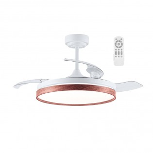 Ventilateur pales...