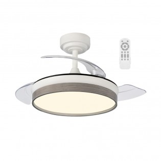 Ventilateur pales...