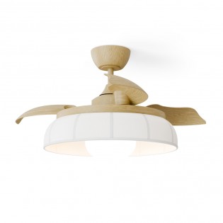 Ventilateur à pales...