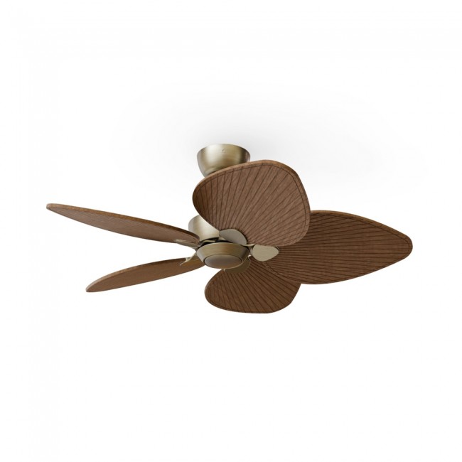 Ventilateur de plafond Alma 100 Laiton 5 pales