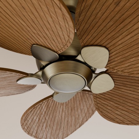 Ventilateur de plafond Alma 132 Laiton 5 pales