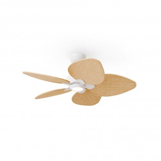Ventilateur LED Alma 100...