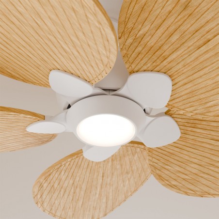 Ventilateur LED Alma 100 Blanc 5 pales CCT Dim (6.5W)