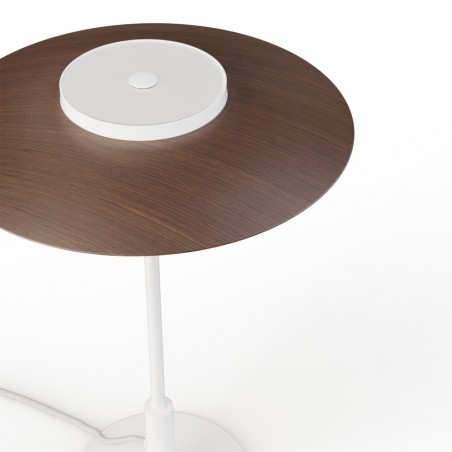 Lámpe a poser LED Valentina II CCT (9W)