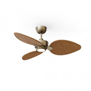 Ventilateur LED Alma 100...